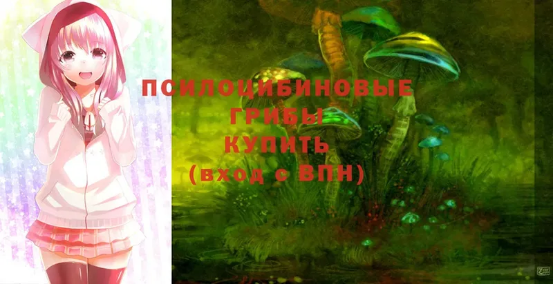 Псилоцибиновые грибы Magic Shrooms  Лихославль 